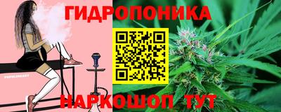 гидропоника Партизанск